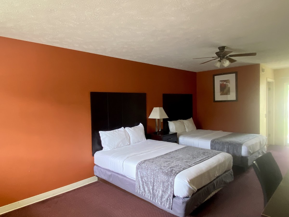 Room 5