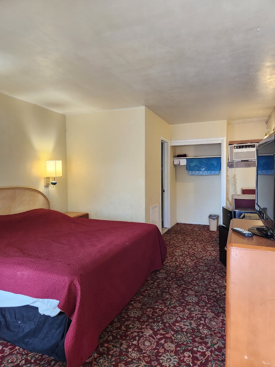 Room 5