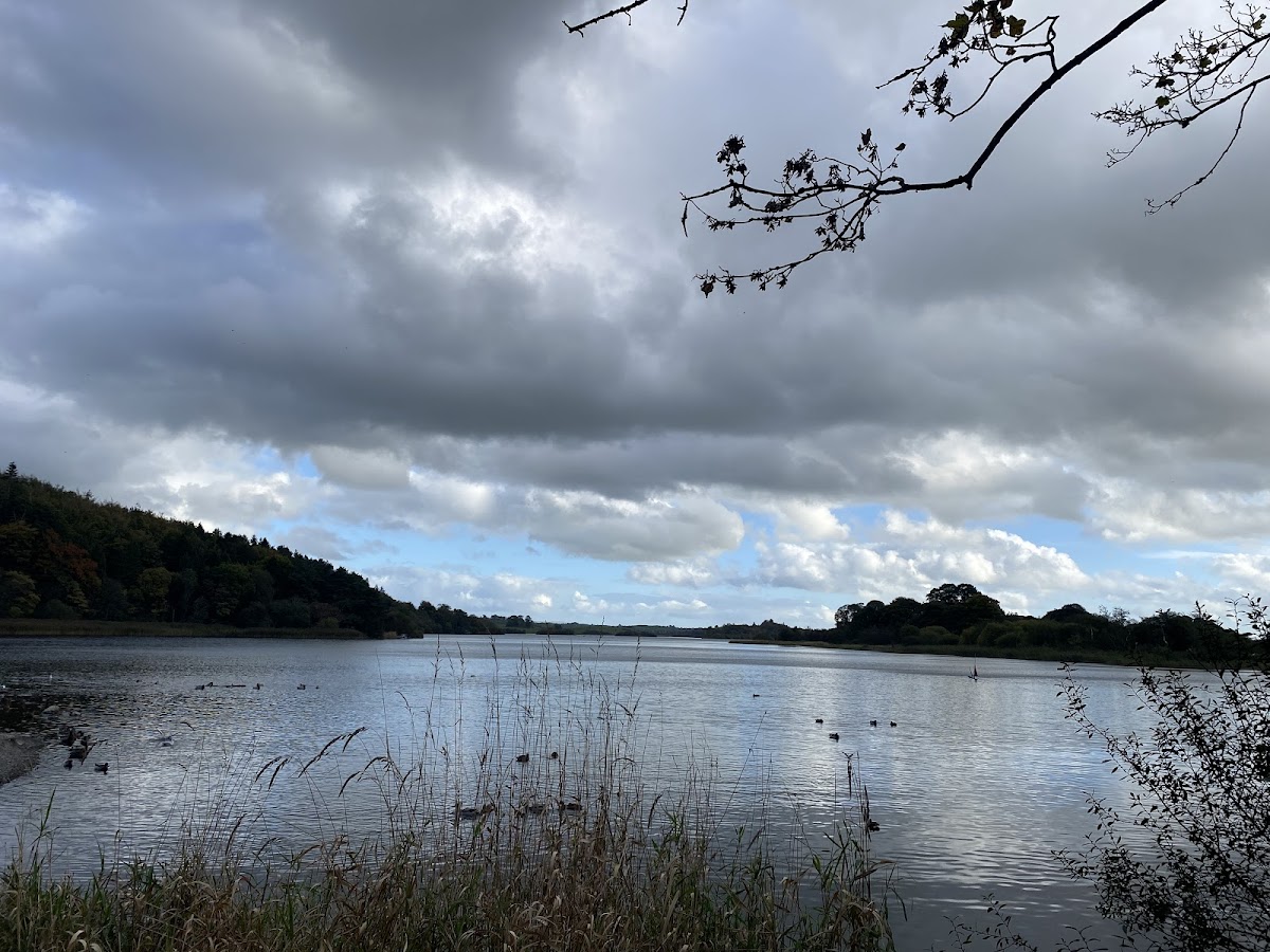 Lough Muckno