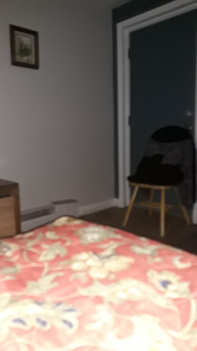 Room 4