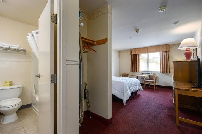 Room 5