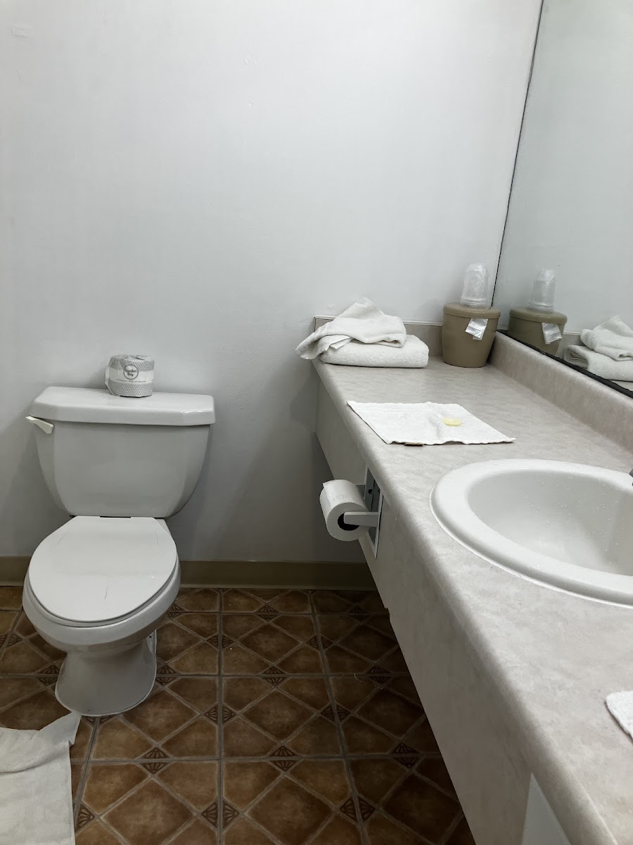 Room 8