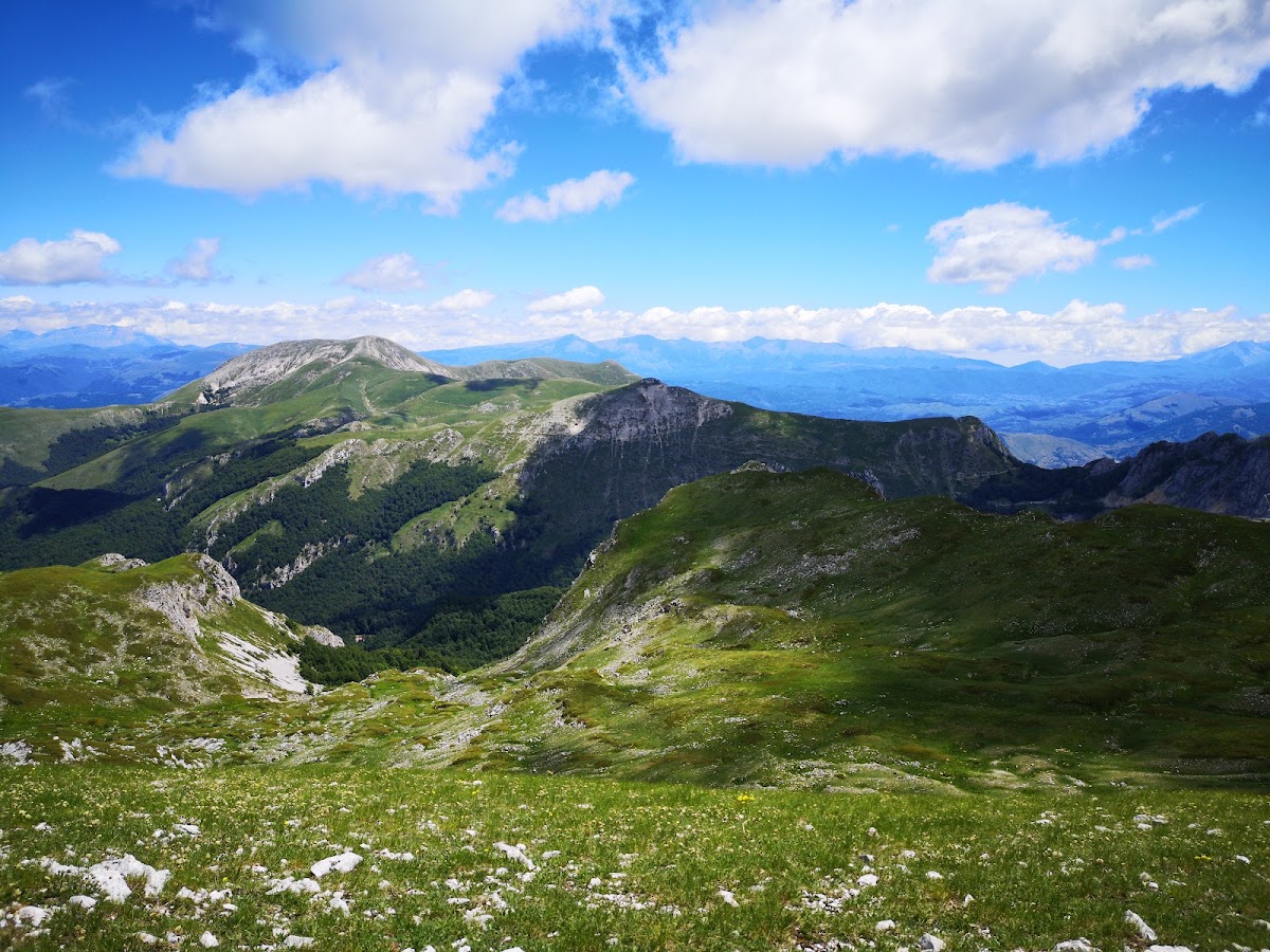 Cresta Sassetelli