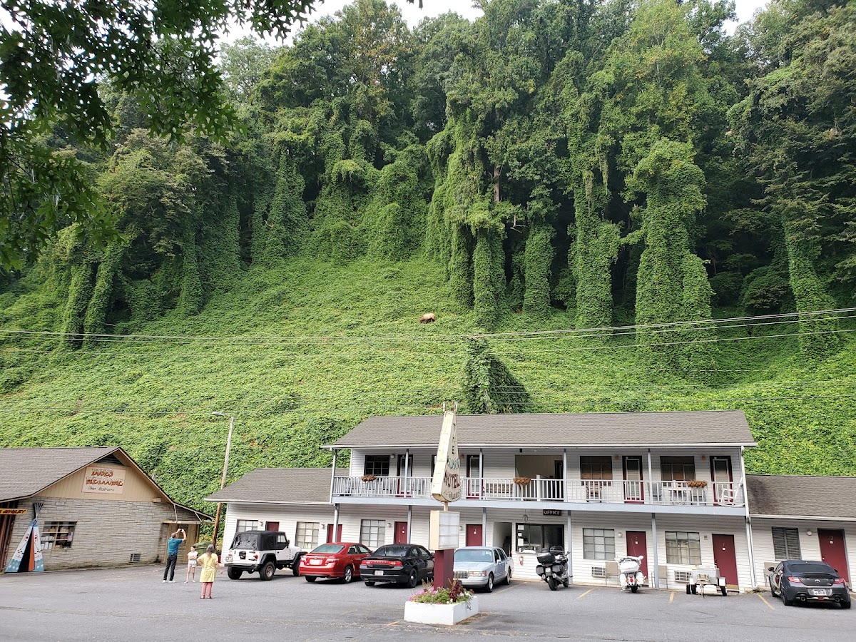 Wigwam Motel & Craft Shop