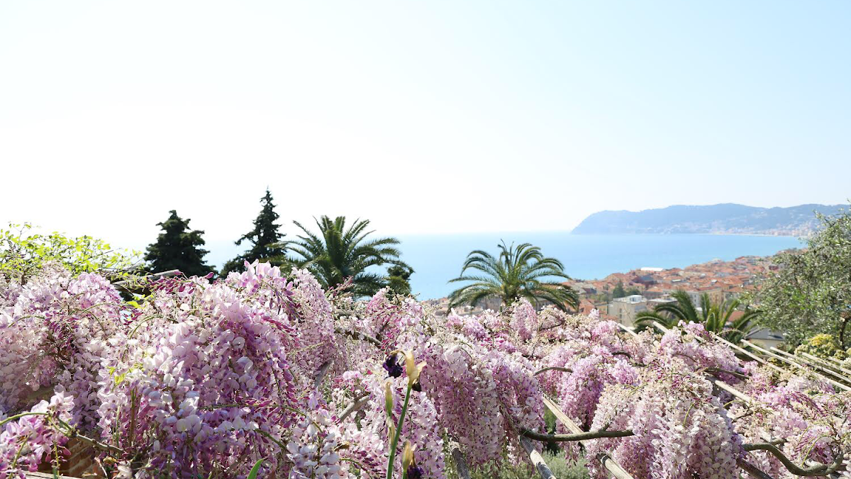 The Gardens of Villa della Pergola