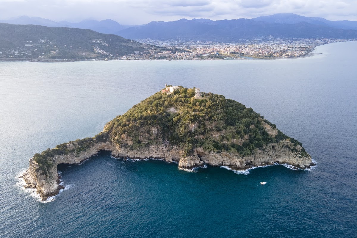 Gallinara