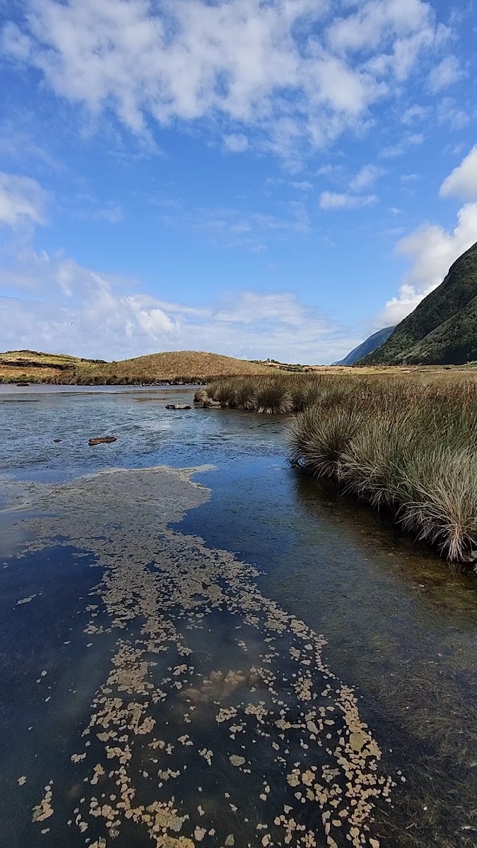 Lagoa da Fajã de Santo Cristo
