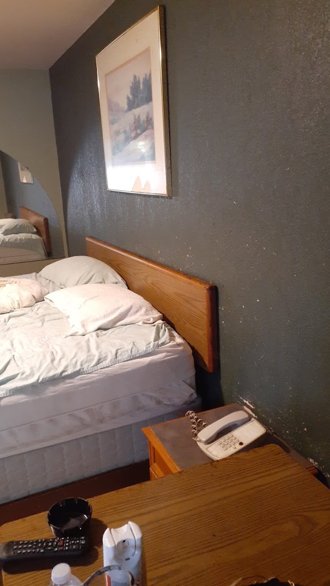 Skyway Inn