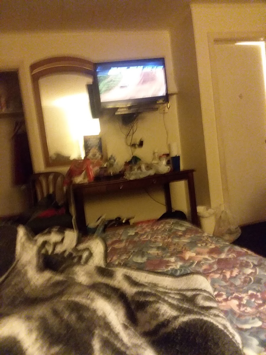 Room 1
