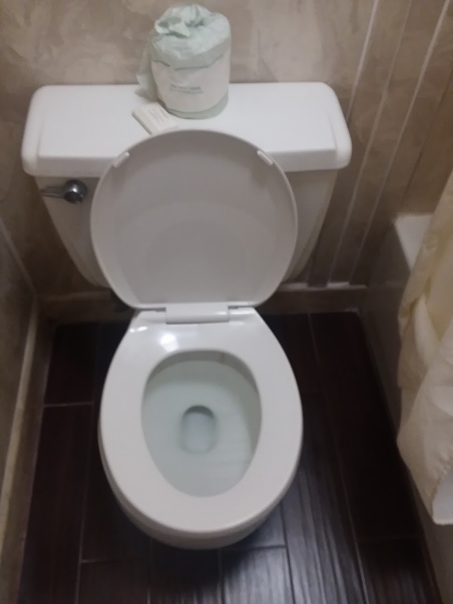 Room 5