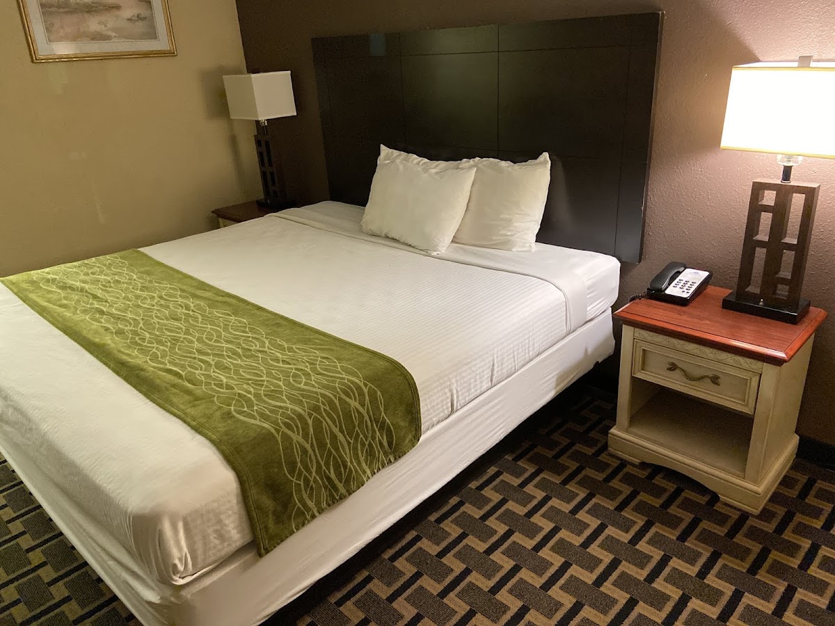 Room 6
