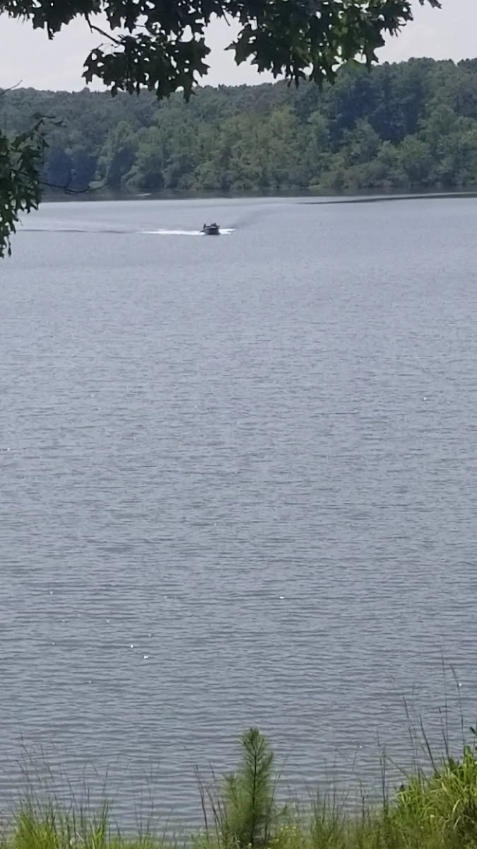 Whiteville Lake