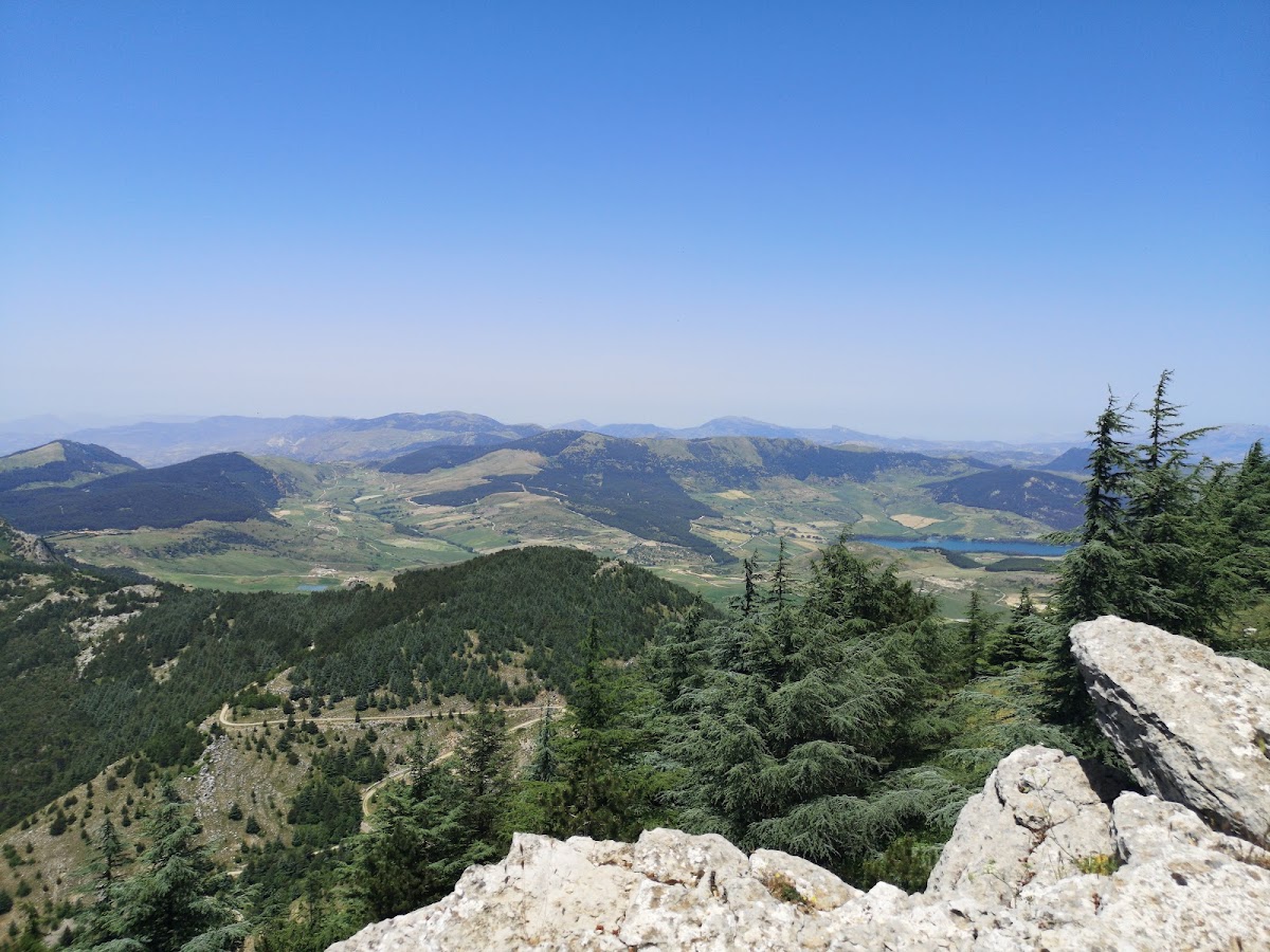 Mount Cammarata