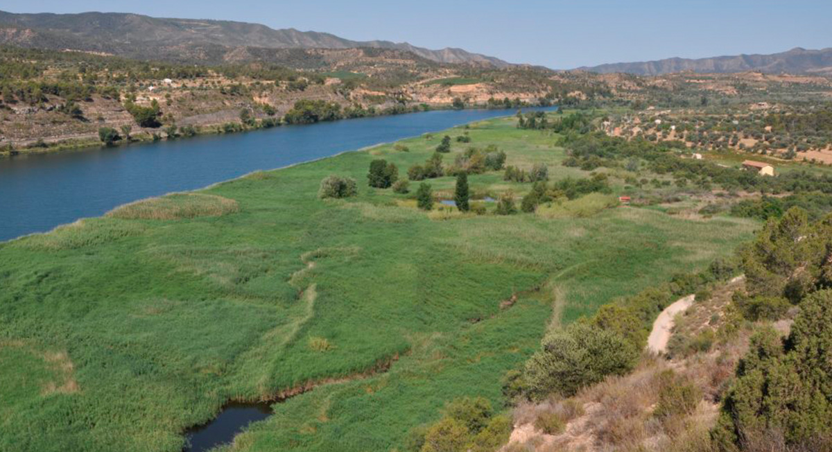 Reserva Natural de Sebes