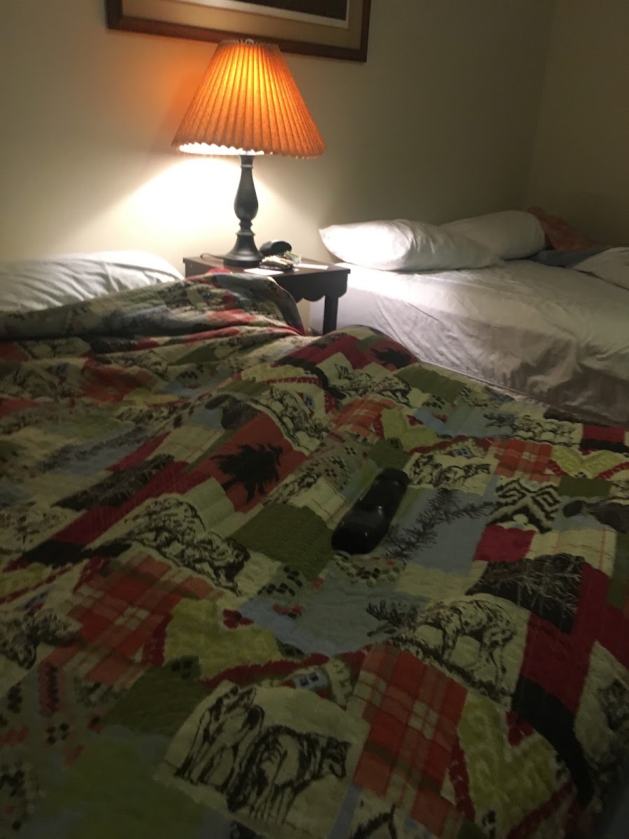 Room 1