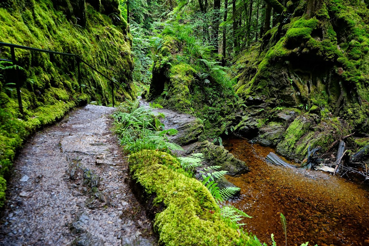 Puck's Glen