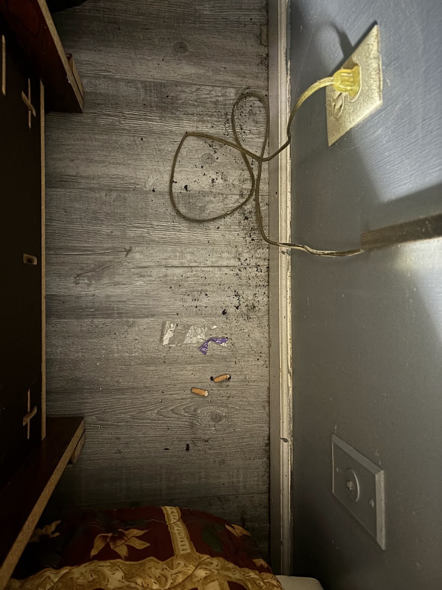 Room 6