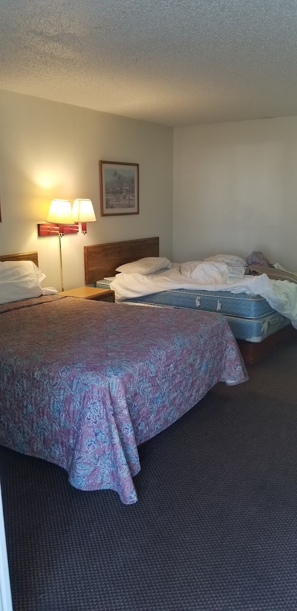 Room 5