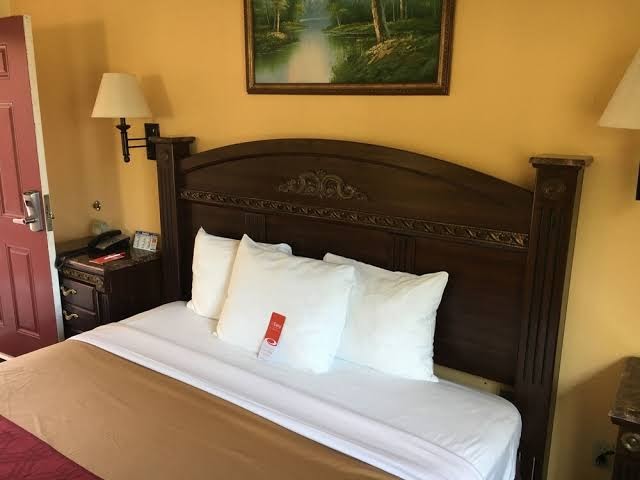 Room 7