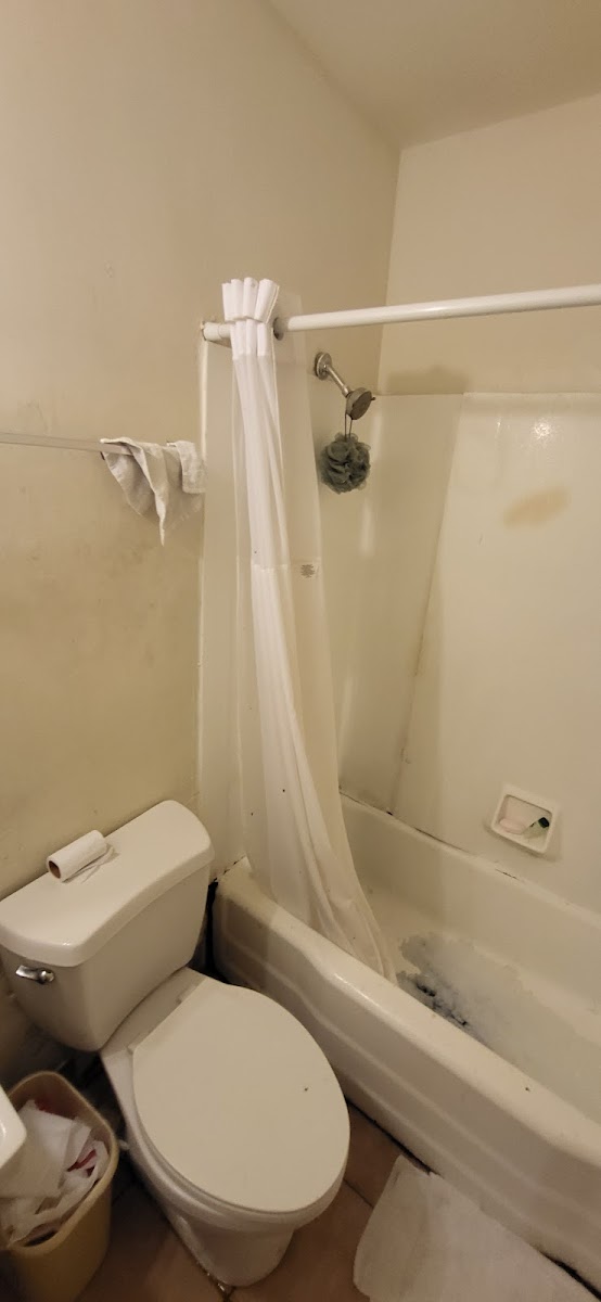 Room 2