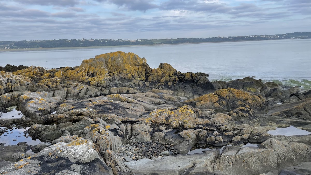 Baie de Saint-Brieuc