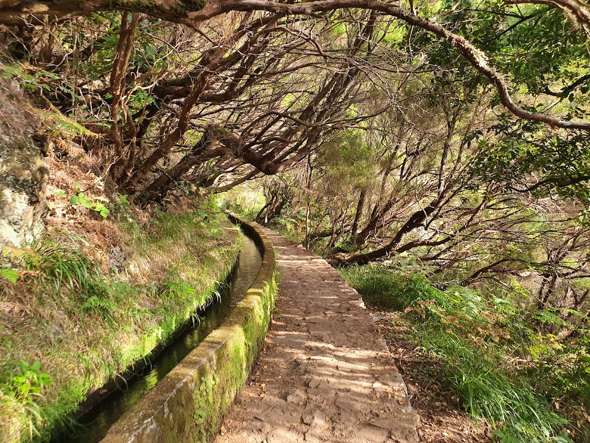 PR6 25 Fontes hike & Levada do Risco