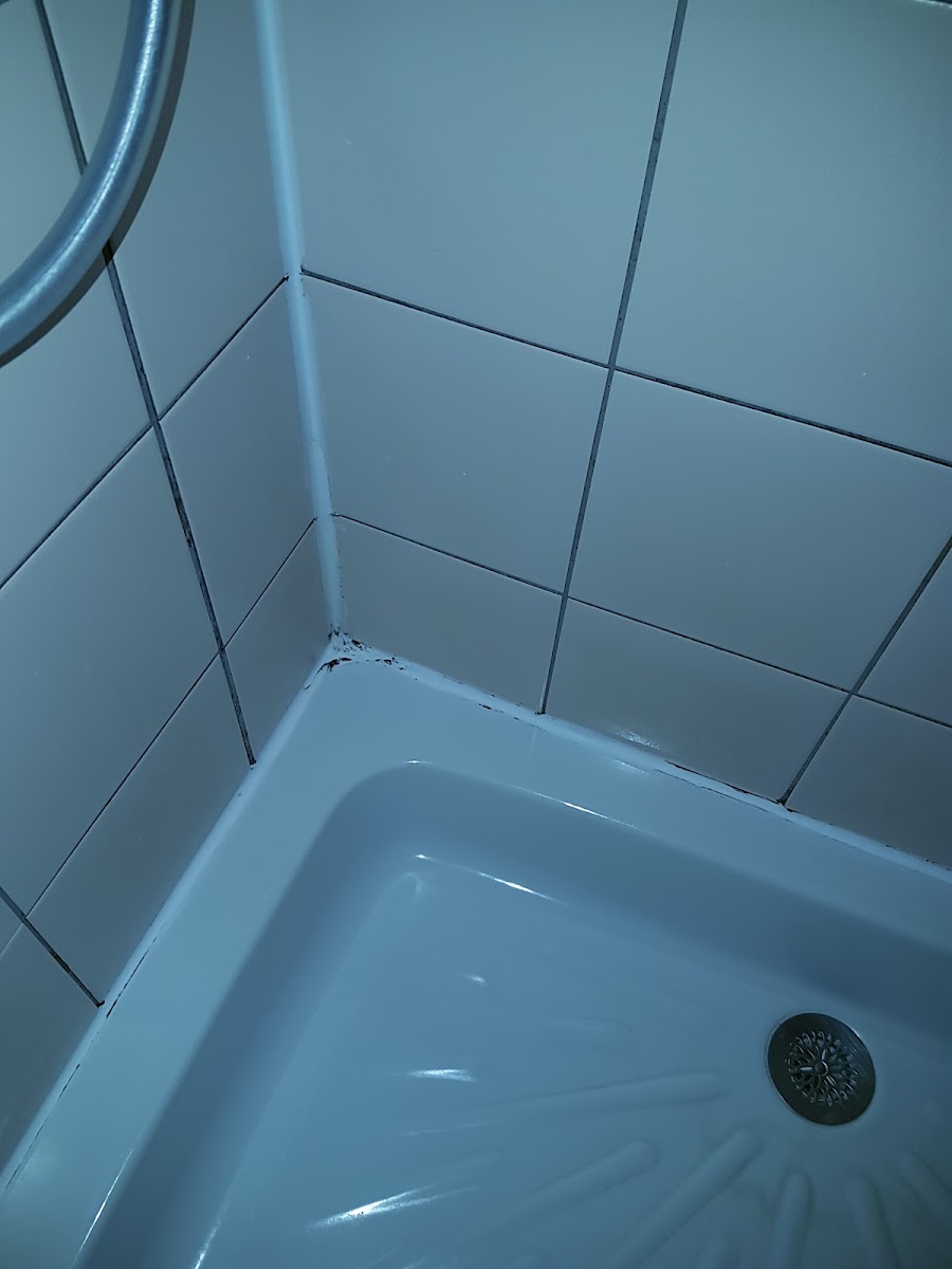 Room 6