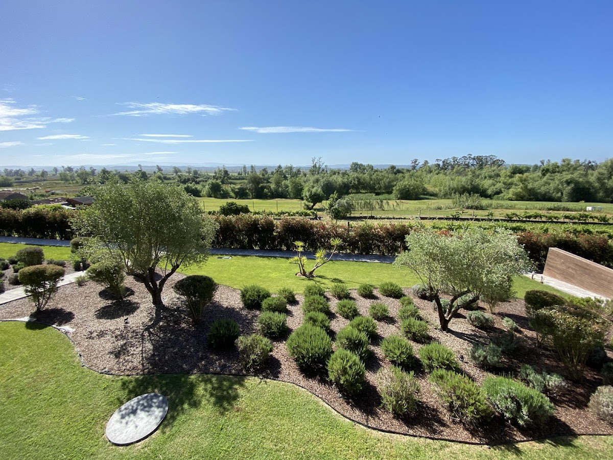 Garça Real Hotel & SPA photo 3