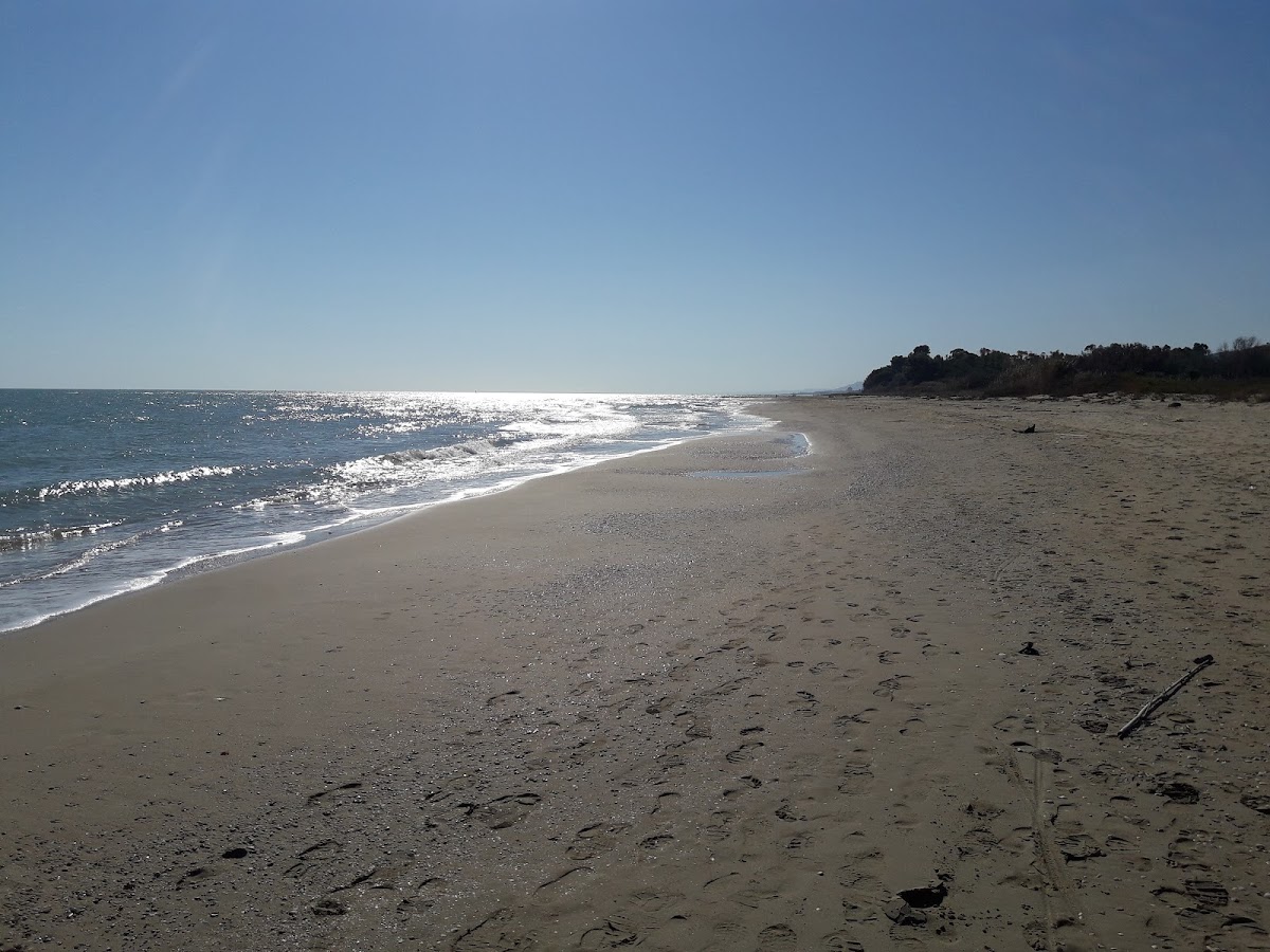 Riserva Naturale del Borsacchio
