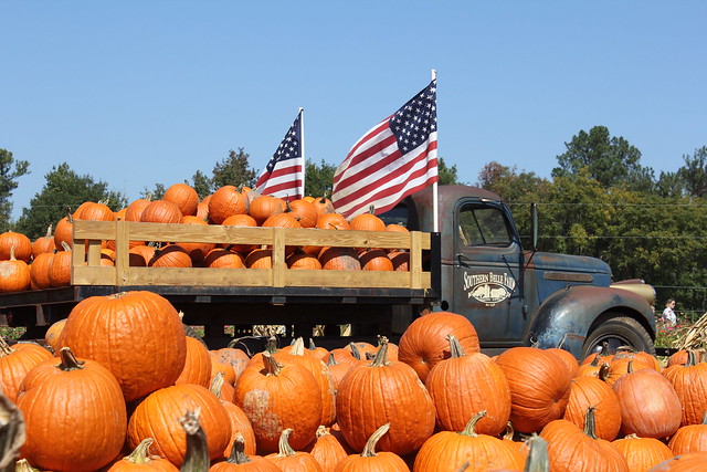 Southern Belle Farm