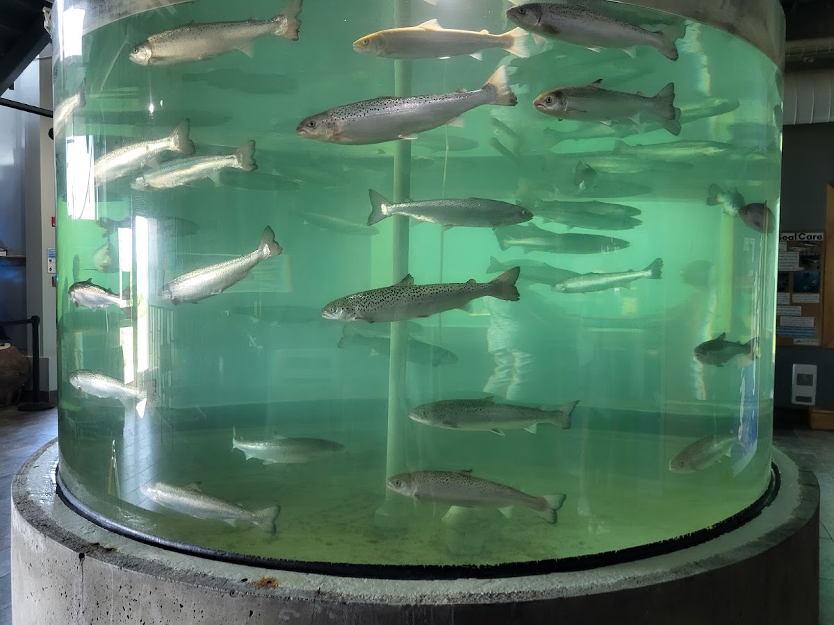 Huntsman Marine Science Centre | Fundy Discovery Aquarium