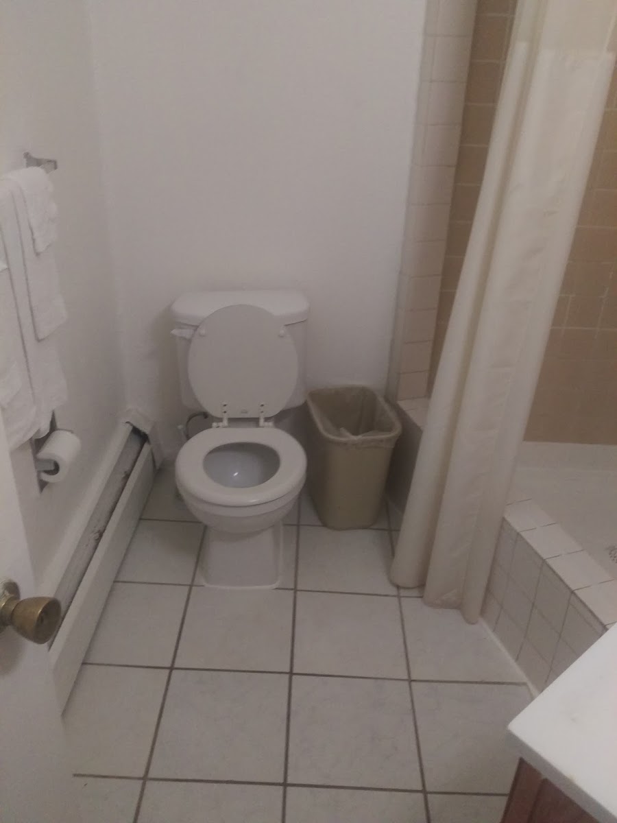 Room 4