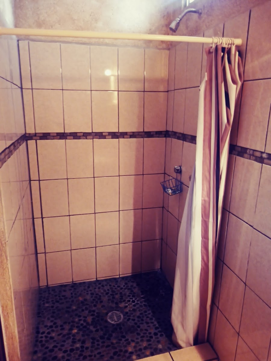 Room 6