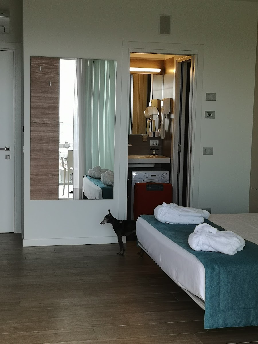 Room 7