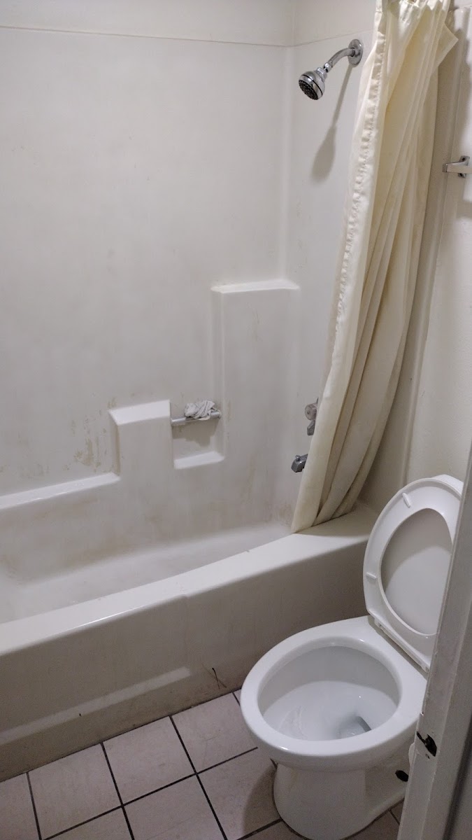 Room 4