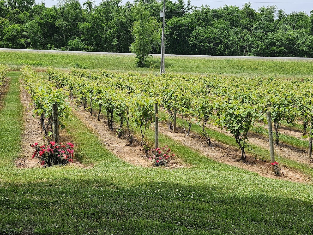 Beachaven Vineyards & Winery