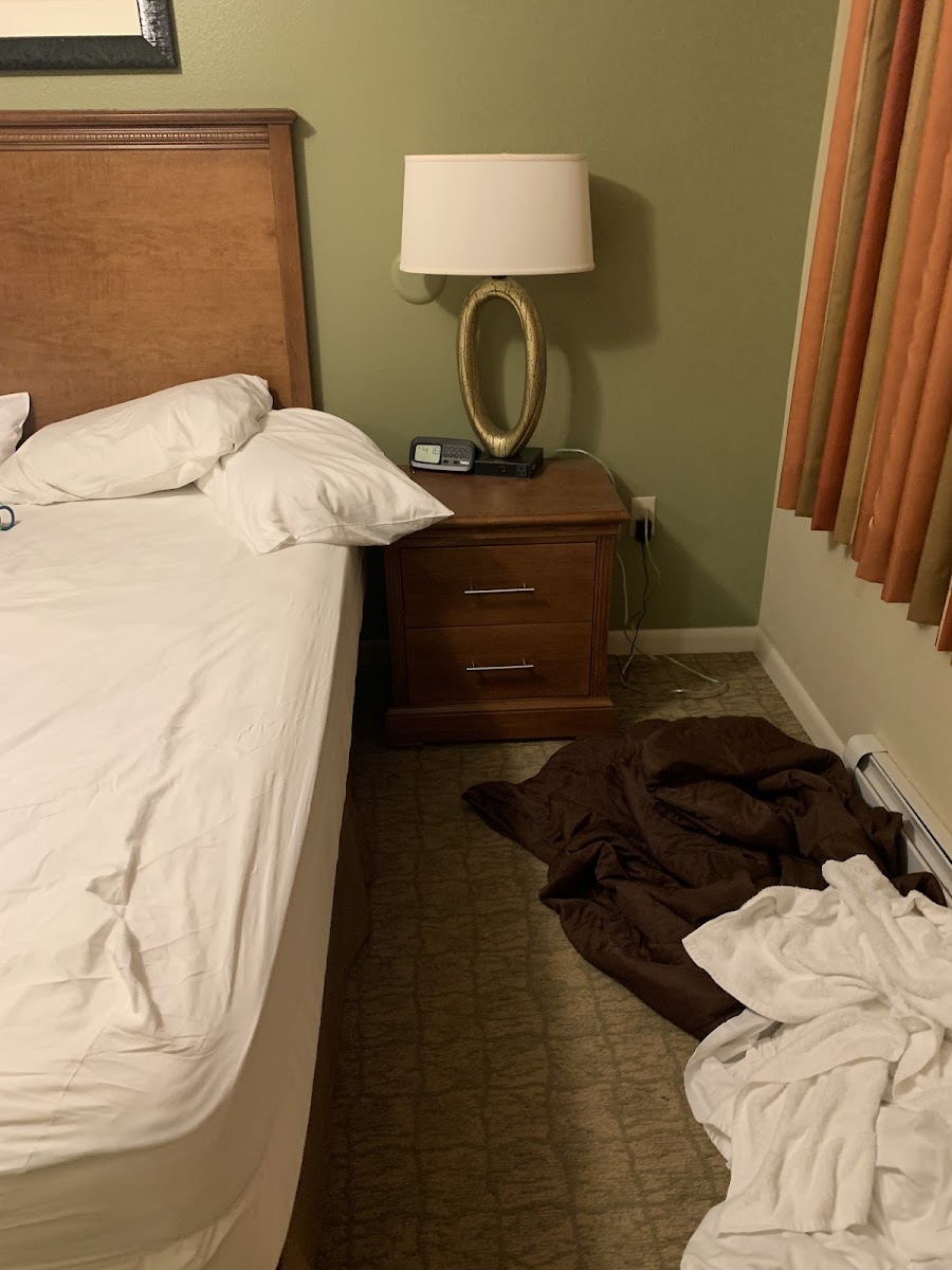 Room 5
