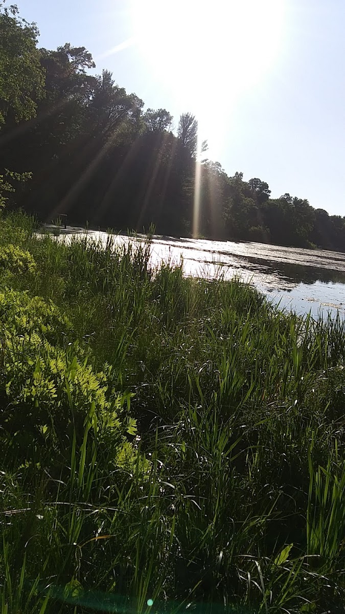 Pokegama Lake