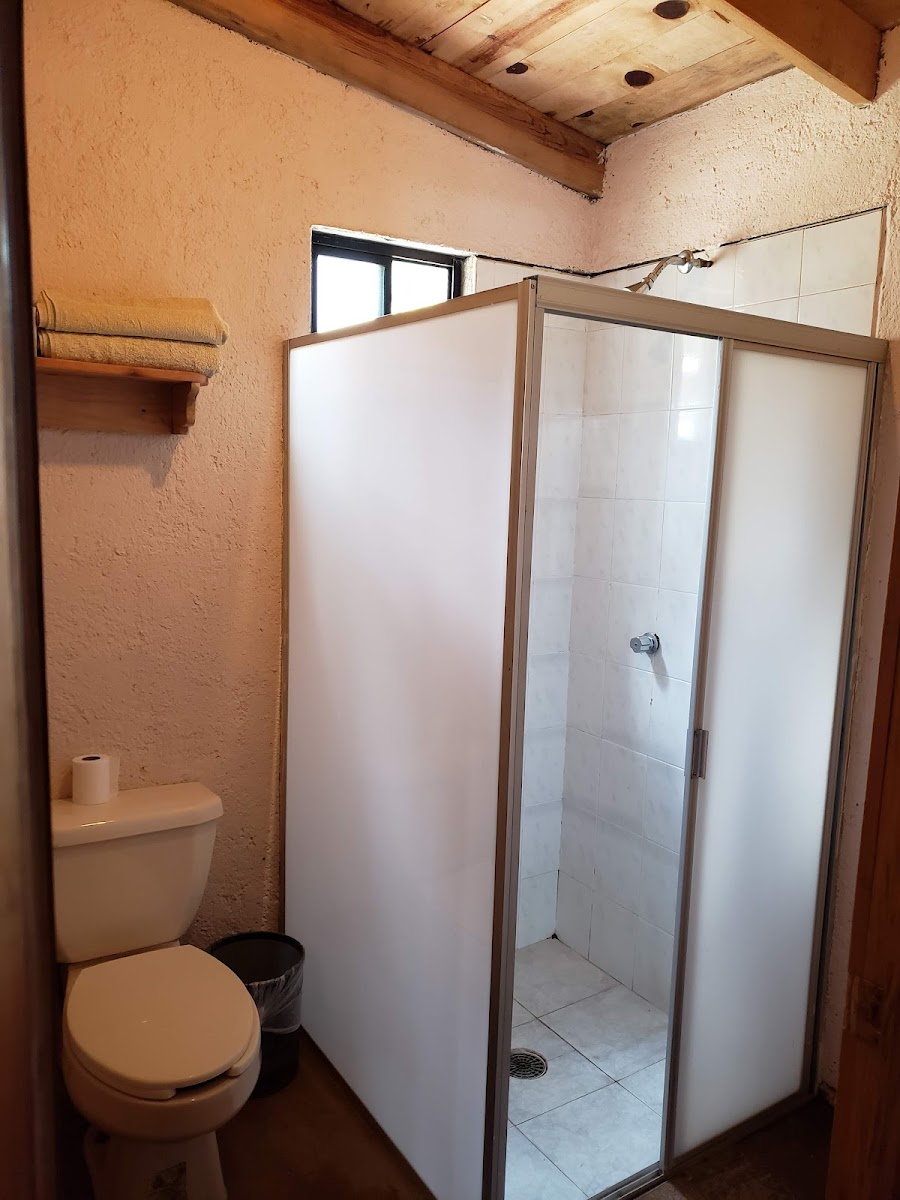 Room 4