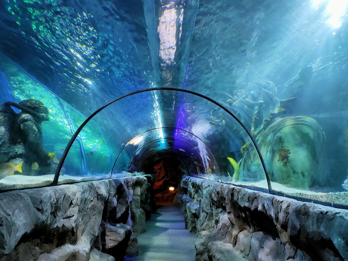 SEA LIFE Great Yarmouth