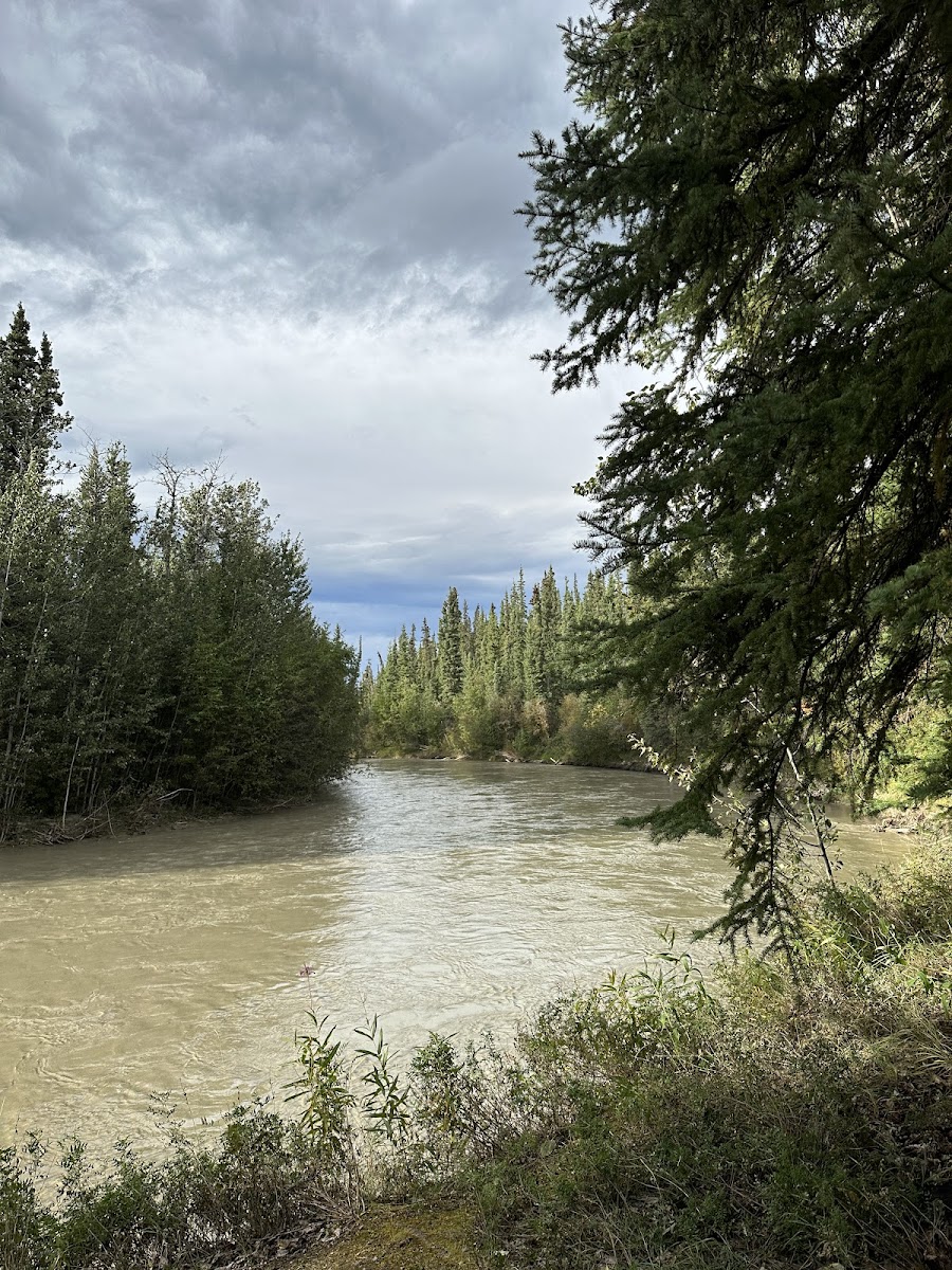 Tok River State Recreation Site