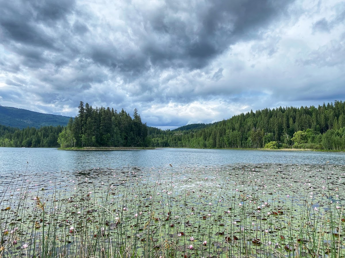 Dutch Lake