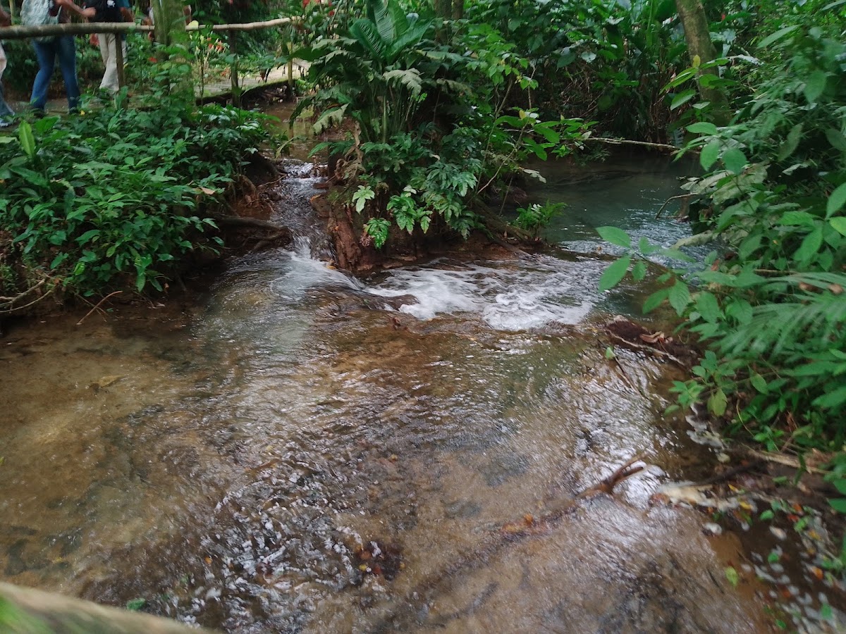 Kolem Jaa photo 3