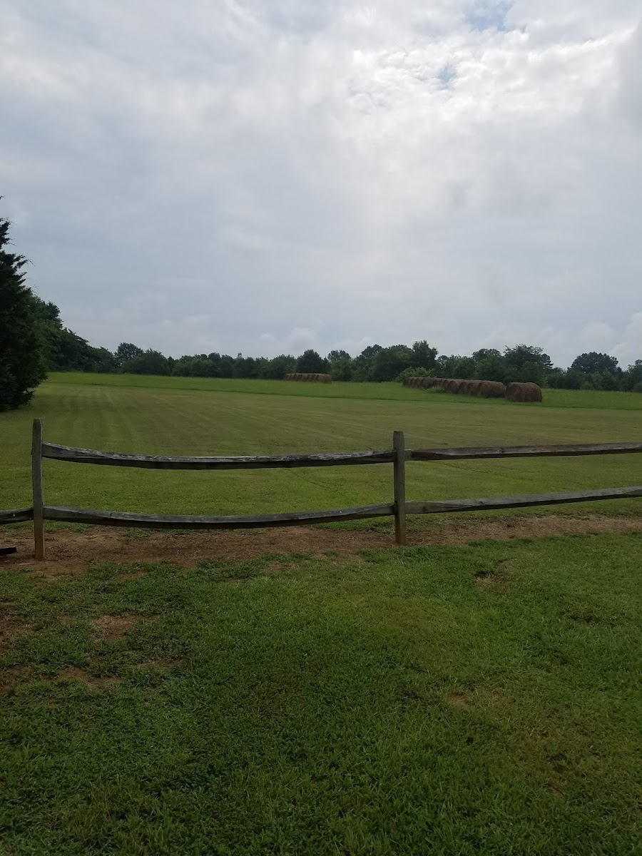 Ingomar Mounds
