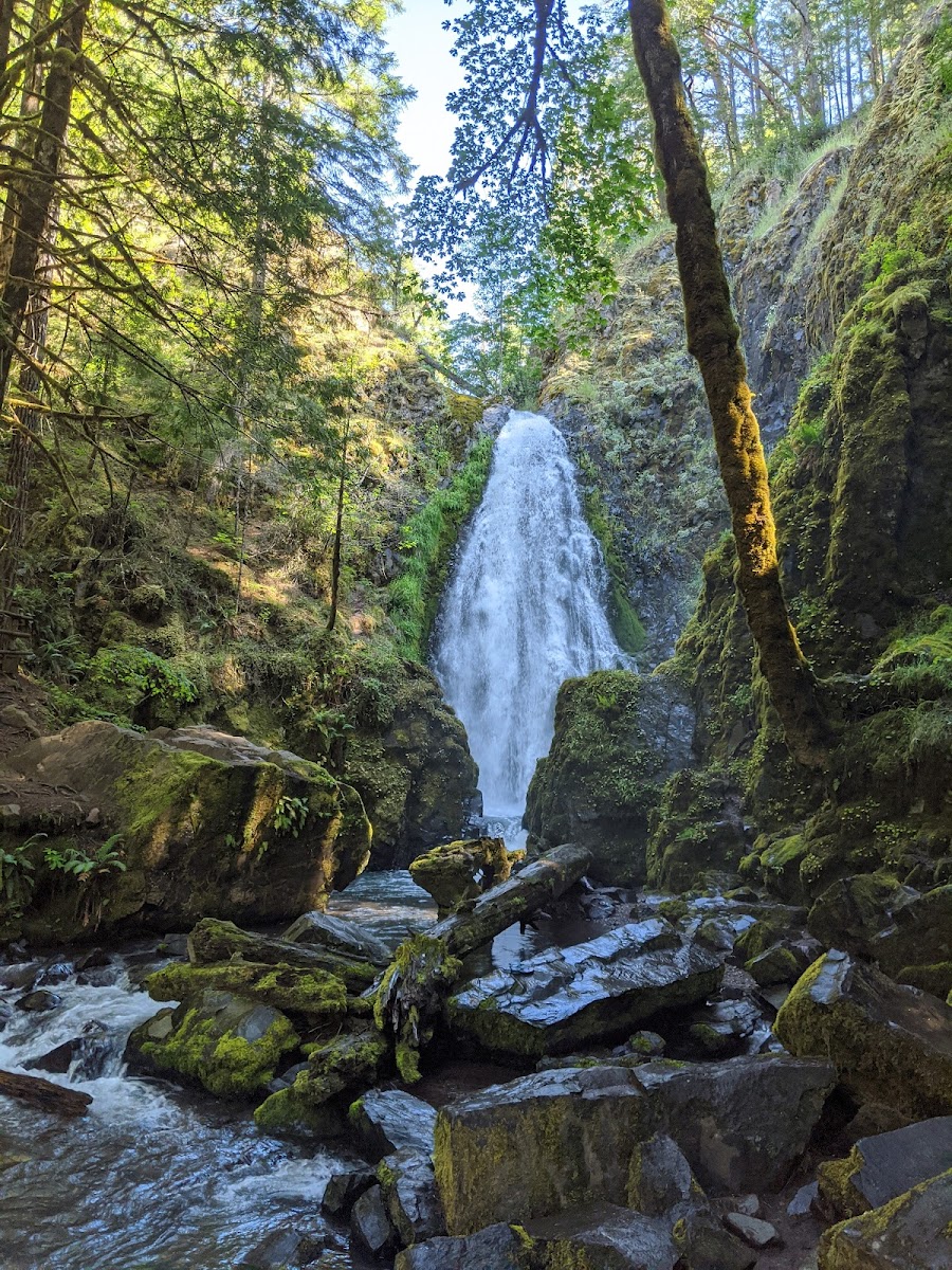 Susan Creek Falls