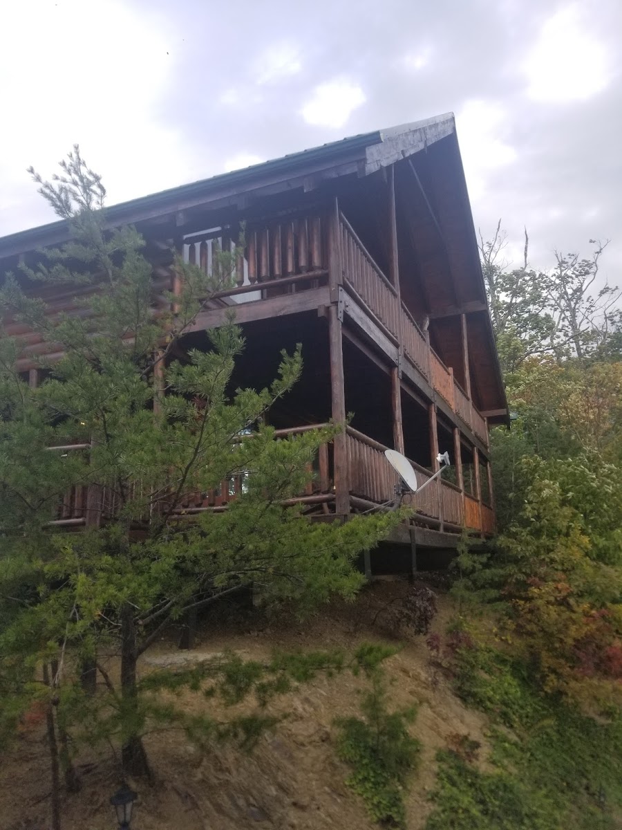 Brothers Cove #38 'Above It All'