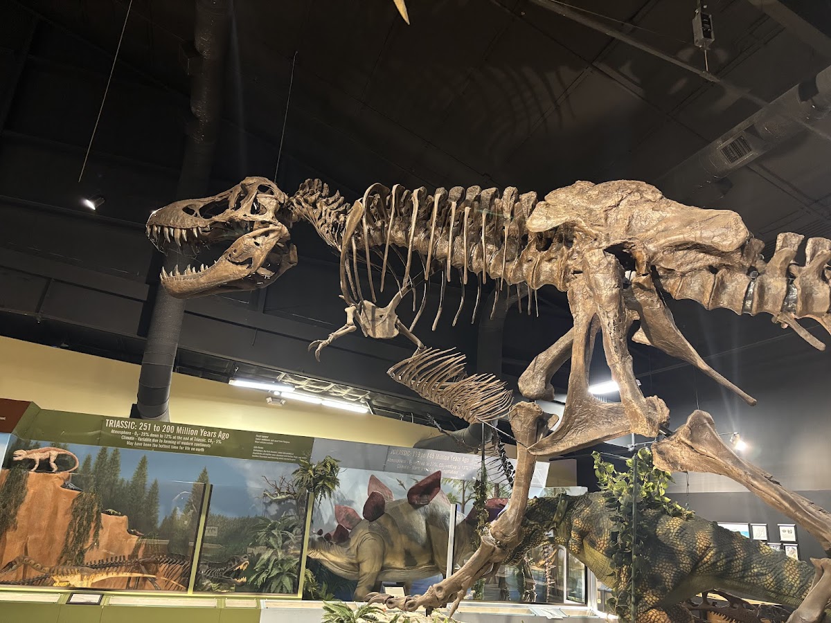 Naranjo Museum-Natural History
