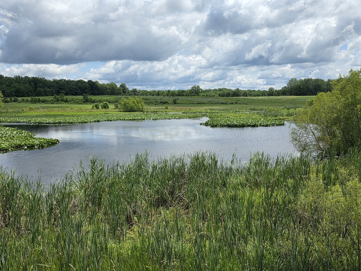 Muscatatuck National Wildlife Refuge