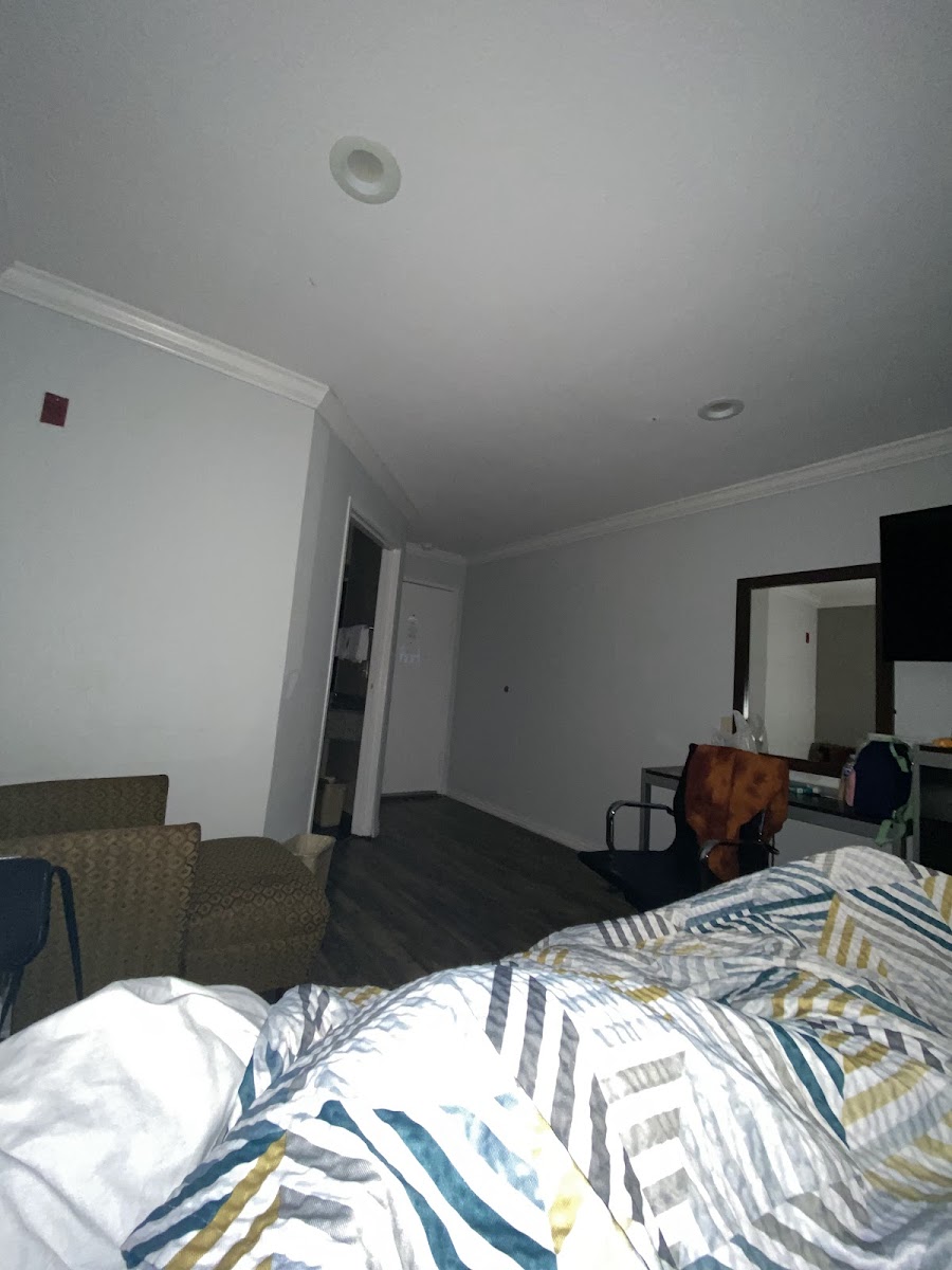 Room 8