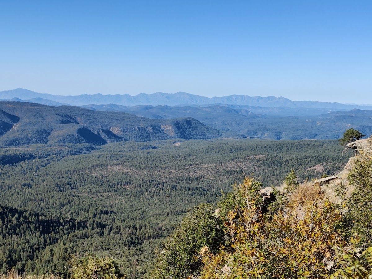 Apache-Sitgreaves National Forests